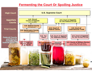 Fermenting the Court