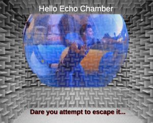 the echo chamber